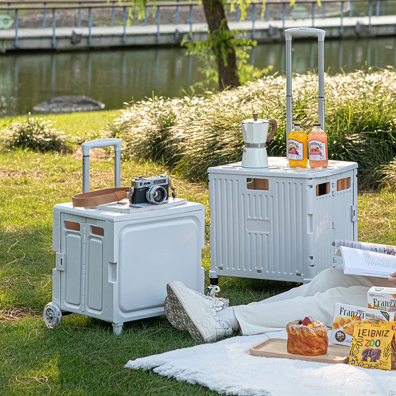 Outdoor Furniture Shop - Scatola di immagazzinaggio esterna Piccolo carrello